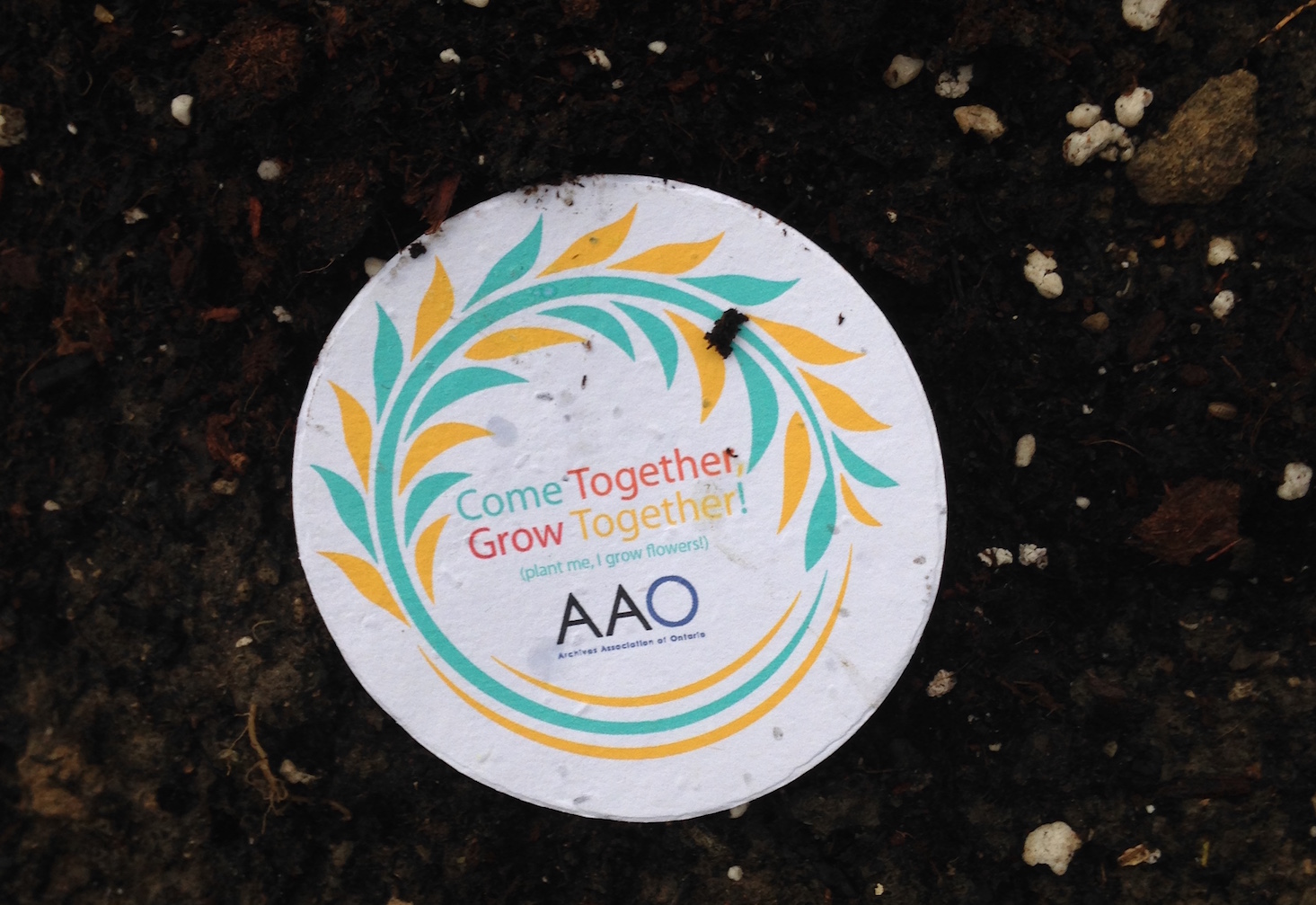 AAO conference plant disc